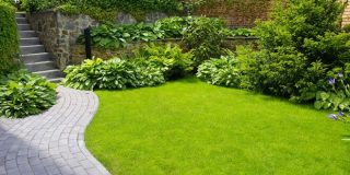 Γκαζόν, πως θα προετοιμάσετε το έδαφος για να φυτέψετε γρασίδι