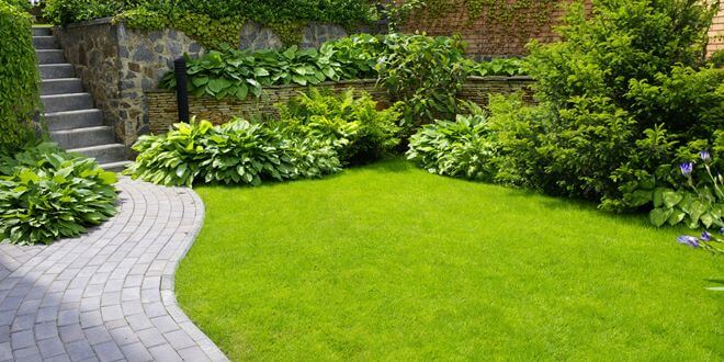 Γκαζόν, πως θα προετοιμάσετε το έδαφος για να φυτέψετε γρασίδι Γκαζόν, πως θα προετοιμάσετε το έδαφος για να φυτέψετε γρασίδι