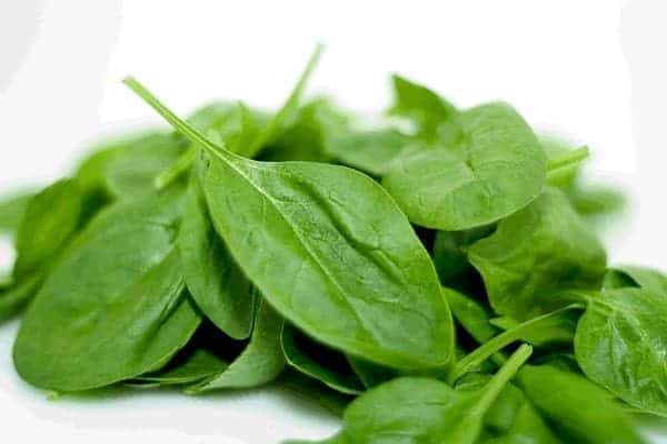 Σπανάκι Σπανάκι