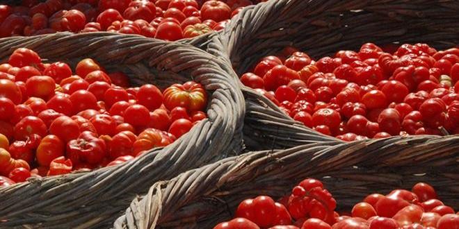 Ντοματάκι Σαντορίνης, το «χρυσόμηλον», η «κόκκινη βασίλισσα» της Μεσογείου