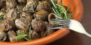 Χοχλιοί - Σαλιγκάρια Κρήτης (σερβιρισμένοι με αρισμαρί ή αλλιώς δεντρολίβανο). Μπουμπουριστοί και Λιανοί