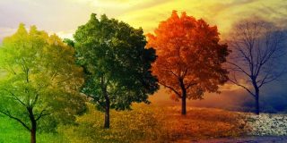 Μερομήνια, πρακτική γνώση και μελέτη του καιρού για τις 4 εποχές: Χειμώνας - Άνοιξη - Καλοκαίρι και Φθινόπωρο