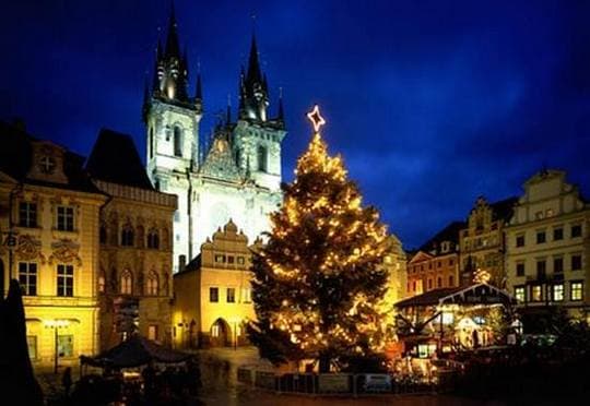 christmas-trees-around-the-world-7