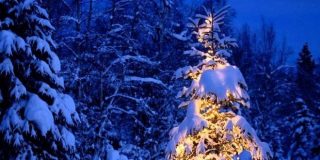 Φωτισμένο έλατο σε χιονισμένο τοπίο - Ω Έλατο & O Christmas Tree (Κλασικά Χριστουγεννιάτικα τραγούδια)