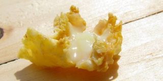 Βασιλικός πολτός (royal jelly), υποκίτρινο παχύρευστο υγρό που παράγεται από μέλισσες με θεραπευτικές ιδιότητες, συστατικά