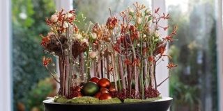 Χριστουγεννιάτικη διακόσμηση με λουλούδια - κλαδιά. Decoration Video