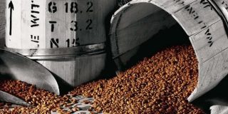 Κόκκοι καφέ σε τσουβάλι - βαρέλι και τα είδη καφέ μαζί τις θερμίδες που αποδίδουν