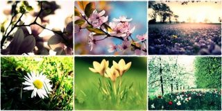 Συλλογή φωτογραφιών (photo gallery) με εικόνες για την Άνοιξη και τα λουλούδια - Spring Flowers Pictures, Images & Photos