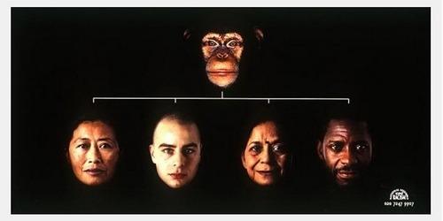 antiratsistika-minimata-poster-15