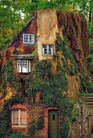 Καταπληκτικά σπίτια - κτίρια εναρμονισμένα με περιβάλλον και φύση