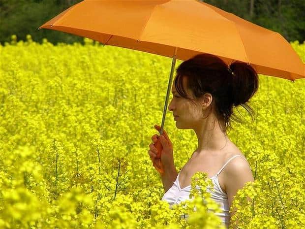 spring-flowers-pictures-26