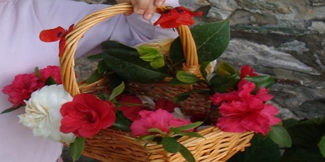 Καλάθι με κόκκινα και άσπρα τριαντάφυλλα στα Κάλαντα του Λαζάρου σύμφωνα με τα ήδη και έθιμα