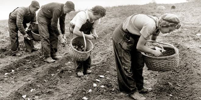 Φύτεμα - σπορά σε αγροτεμάχιο - χωράφι από αγρότες και εργάτες γης. Φυτεύω λαχανικά, βότανα ή δέντρα