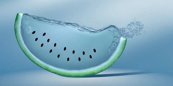 Metamorphosis φέτα από καρπούζι και νερό ... παραπέμπει νοητά στο γεωμετρικό σχήμα του Κύκλου και στο μήκος της χορδή του