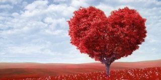 Κόκκινο δέντρο΄ανθισμένο σε σχήμα καρδιάς σε κατακόκκινο λιβάδι - Άγιος Βαλεντίνος