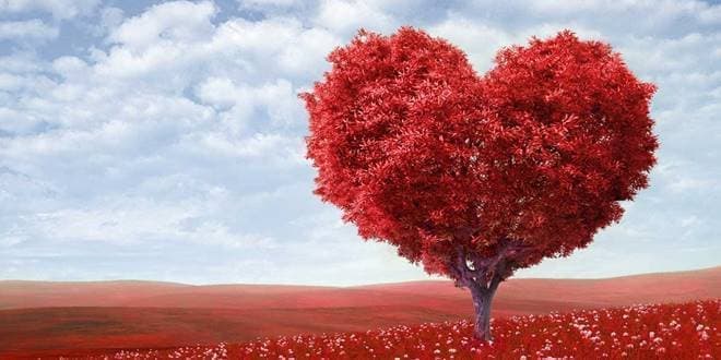 Κόκκινο δέντρο΄ανθισμένο σε σχήμα καρδιάς σε κατακόκκινο λιβάδι - Άγιος Βαλεντίνος