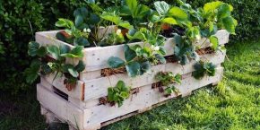 Κατασκευή Ζαρντινιέρας από ξύλινες παλέτες. Flower stand, palette