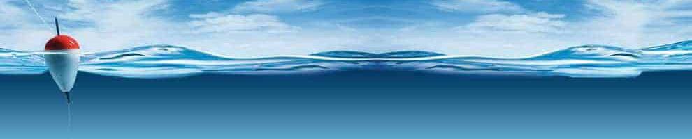 Ψάρεμα και ψάρια στην θάλασσα ● Φεβρουάριος 2026. Ιδανικές ημέρες, ώρες ψαρέματος | Best Fishing Times Fevrouarios