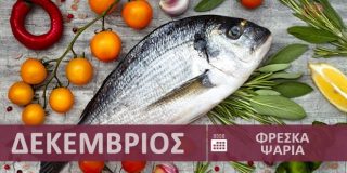 Φρέσκα ψάρια εποχής - εποχικότητα Δεκέμβριος - Χειμώνας σε Ελλάδα | Fresh Fish - Freska Psaria Dekemvrios