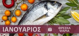 Φρέσκα ψάρια εποχής - εποχικότητα Ιανουάριος - Χειμώνας σε Ελλάδα | Fresh Fish - Freska Psaria Ianouarios