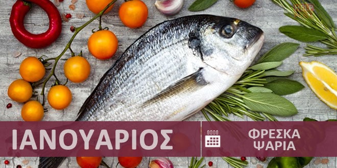 Φρέσκα ψάρια εποχής - εποχικότητα Ιανουάριος - Χειμώνας σε Ελλάδα | Fresh Fish - Freska Psaria Ianouarios
