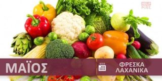 Φρέσκα λαχανικά και κηπευτικά εποχής - εποχικότητα Ιούνιος - Άνοιξη | Fresh vegetables - Freska laxanika