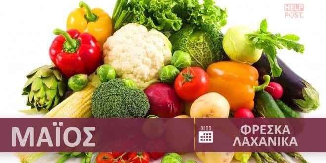 Φρέσκα λαχανικά και κηπευτικά εποχής - εποχικότητα Ιούνιος - Άνοιξη | Fresh vegetables - Freska laxanika