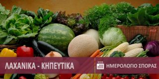 Λαχανικά & κηπευτικά. Ημερολόγια ανά μήνα για φύτεμα - σπορά σε μποστάνι - κήπος ● Vegetables - plants | Laxanika - Khpeytika