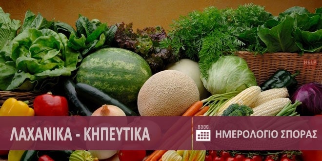 Λαχανικά & κηπευτικά. Ημερολόγια ανά μήνα για φύτεμα - σπορά σε μποστάνι - κήπος ● Vegetables - plants | Laxanika - Khpeytika