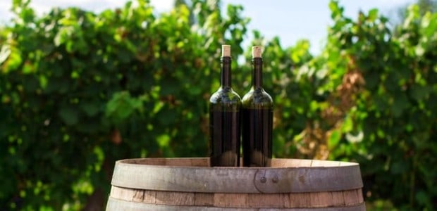 Μπουκάλια με ελληνικό κρασί πάνω σε ξύλινο βαρέλι μπροστά σε αμπελώνα - Greek wine