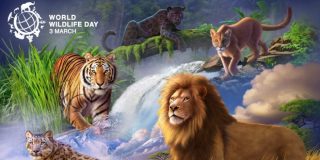 Παγκόσμιας Ημέρας της Άγριας Ζωής - World Wildlife Day (WWD)